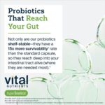 Hyperbiotics Vital Nutrients Organic Prebiotic Fiber Powder | Supports Gut Health and Digestive Regularity | Soluble Fiber Supplement for Women and Men | Vegan Organic Fiber Powder | 54 Servings - Image 5