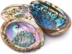 Hand Selected Abalone Shell, 6 Inches or Larger. Perfect for Holding Incense, Trinkets, and More - Image 3