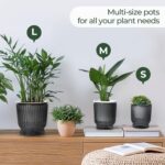 T4U 4.8 Inch Self Watering Plant Pot, 4 Pack Self Watering Pots, Self Watering Planter with Reservoir, Small Self Watering Pots for Indoor Plants, African Violets (4 Pack 4.8", Translucent Gray) - Image 8