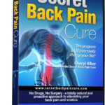 24Seven Wellness & Living Back Pain Relief DVD, Natural Prevention of Lower, Upper, Neck and Sciatic Pain. A Yoga and Pilates Based Stretch Program That Could Potentially Change Your Life!
