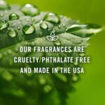 P&J Trading Nature Set of 6 Premium Grade Fragrance Oils - Forest Pine, Ocean Breeze, Rain, Fresh Cut Grass, Sandalwood, Bamboo - 10ml - Image 6