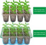 Bonviee 5 Packs Seed Starter Tray with Plant Light, Elevated Seedling Starter Trays Kits with Adjustable Humidity Domes and Clear Cell Tray, 12 Full Spectrum led lamp Beads for Plants Indoor-Green - Image 5
