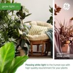GE Grow Lights for Indoor Plants, BR30 Indoor Floodlight, LED Light Bulbs for Seeds and Greens with Balanced Spectrum, 25,000 Hours Lifespan, 16 PPF, 2 Pack (Packaging May Vary) - Image 4