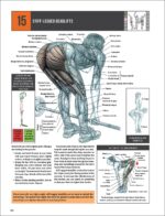 Strength Training Anatomy - Image 5