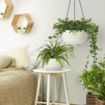 T4U Hanging Planter Self Watering 8 Inch, 2 Pack White Indoor Outdoor Hanging Plant pots, Hanging Flower Pot with Drainage Hole & Plug & Chain with 3 Hooks for Garden Home Decor - Image 2