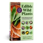 Edible Wild Plants: A North American Field Guide to Over 200 Natural Foods - Image 11