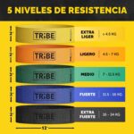 Fabric Resistance Bands for Working Out - Booty Bands for Women and Men - Exercise Bands Resistance Bands Set - Workout Bands Resistance Bands for Legs - Fitness Bands - Image 2