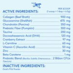 Native Pet Dog Vitamins & Supplements - 60 Scoops - 11-in-1 Multivitamin for Dogs with 21 Supplements & Vitamins – Nutritious Food Topper Powder - Pet Health & Puppy Essentials - 60 Scoops - Image 5