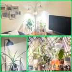 LED Grow Light Bulbs for Indoor Plants Full Spectrum, 320W Equivalent Plant Light Bulb, 4000K Plant Grow Light Bulb, Grow Bulb E26 Base, Grow Light for Indoor Plants, Seed Starting, Pack 1 - Image 7