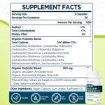 Probiotics for Women Men: 300 Billion CFU Probiotic High Potency + 12 Strains Organic Probiotics with Prebiotics, Daily Probiotic Supplement for Digestive, Gut, Immune and Bloating Health, 60 Capsules - Image 2