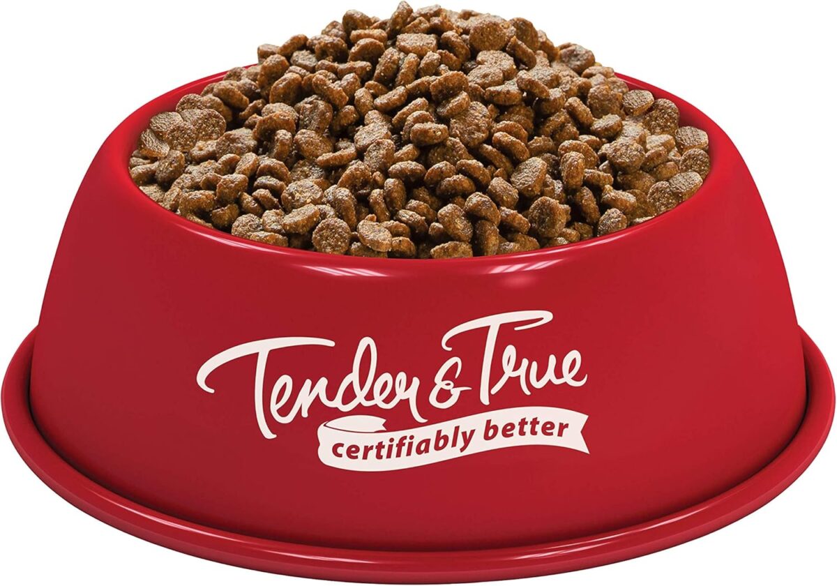Tender & True Pet Nutrition Small Breed Organic Chicken Recipe Dog Food, 4 lb (46003) - Image 2