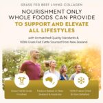 Ancestral Supplements Grass Fed Beef Living Collagen Nutritional Powder Supplement, 3000mg, Promotes Healthier, Younger Looking Skin, Hair, Nails and Joints, Type II, 180 Capsules - Image 4