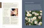Rosemary Gladstar's Medicinal Herbs: A Beginner's Guide: 33 Healing Herbs to Know, Grow, and Use - Image 8