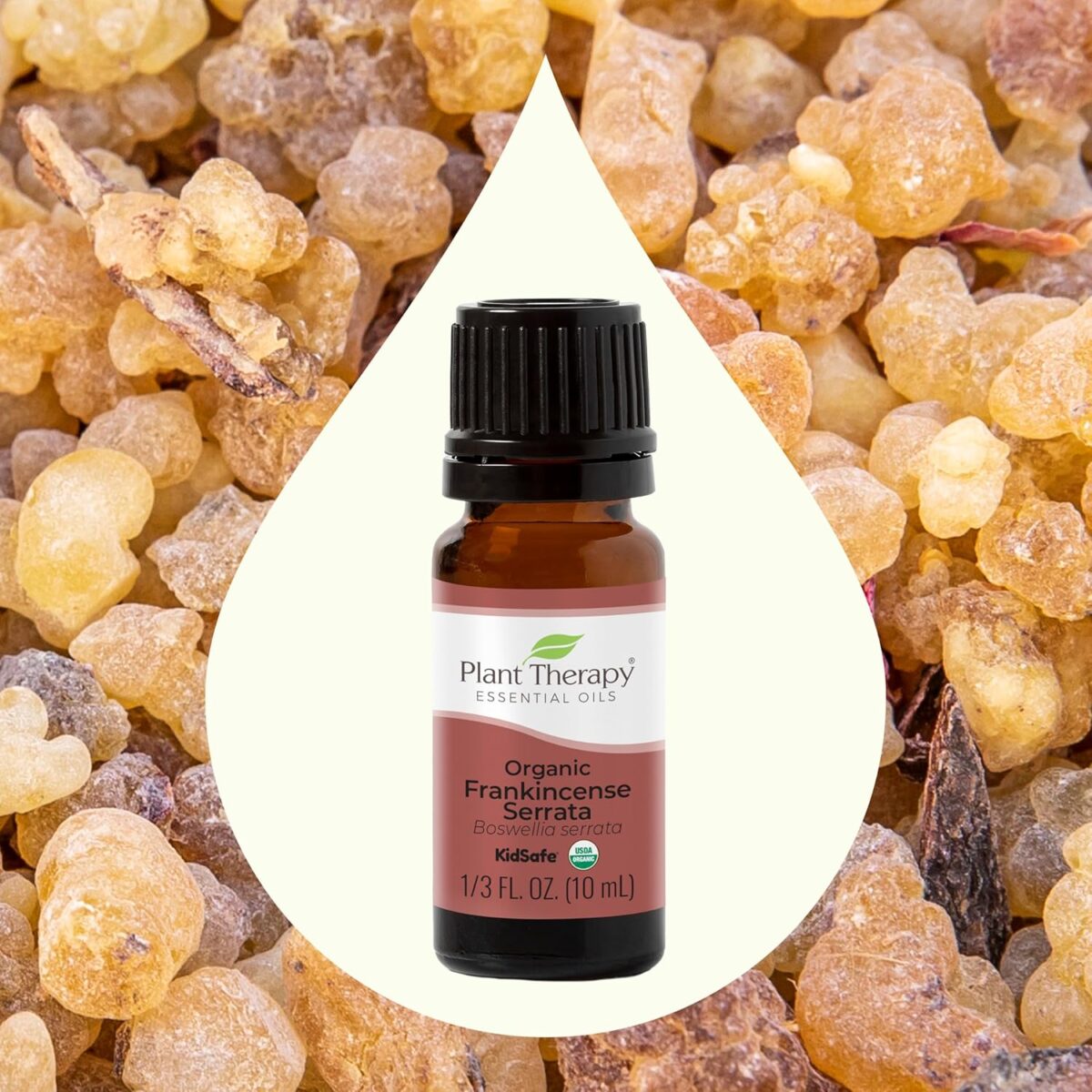 Plant Therapy Organic Frankincense Serrata Essential Oil 100% Pure, USDA Certified Organic, Undiluted, Natural Aromatherapy, Therapeutic Grade 10 mL (1/3 oz) - Image 3