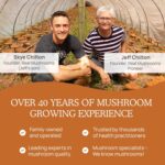 Real Mushrooms Cordyceps Capsules - Performance Mushroom Extract Supplement with Organic Militaris for Energy Immune Support Vegan Supplement, Non-GMO, 120 Caps - Image 8