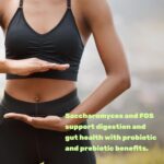 Saccharomyces Boulardii + FOS, 10 Billion CFU, 240 Veggie Capsules – Probiotics & Prebiotics for Women & Men – Gut & Digestive Health Supplement – Non-GMO - Image 4