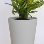 Bloem Tall Finley Tapered Round Planter: 14" - Cement - Matte Textured Finish, 100% Recycled Plastic Pot, for Indoor and Outdoor Use, Gardening, 4 Gallon Capacity - Image 5