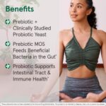 Jarrow Formulas Saccharomyces Boulardii Probiotics + MOS 5 Billion CFU Probiotic Yeast for Intestinal Health Support, Gut Health Supplements for Women and Men, 180 Veggie Capsules, 180 Day Supply - Image 4