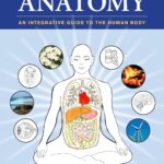 Holistic Anatomy: An Integrative Guide to the Human Body