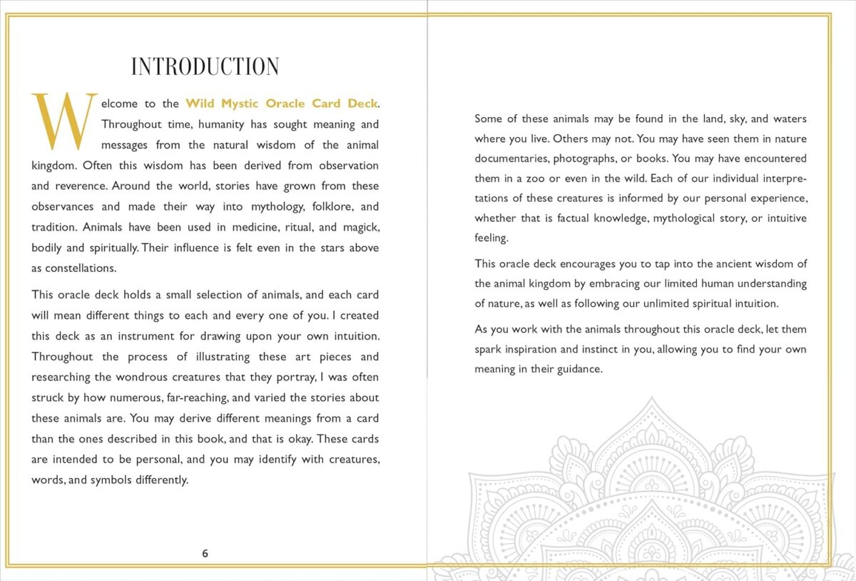 Wild Mystic Oracle Card Deck: A 50-Card Deck and Guidebook - Image 6