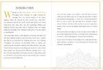 Wild Mystic Oracle Card Deck: A 50-Card Deck and Guidebook - Image 6