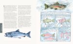 Live Free, Eat Well: Elevated Cuisine for Outdoorsy Travelers and Modern Nomads: A Cookbook - Image 7
