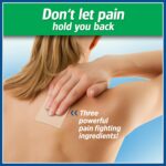 Salonpas Pain Relieving Patch for Back, Neck, Shoulder, Knee Pain and Muscle Soreness - 8 Hour Pain Relief - 60 Count - Image 2