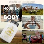 Ancestral Supplements Grass Fed Beef Living Collagen Nutritional Powder Supplement, 3000mg, Promotes Healthier, Younger Looking Skin, Hair, Nails and Joints, Type II, 180 Capsules - Image 2