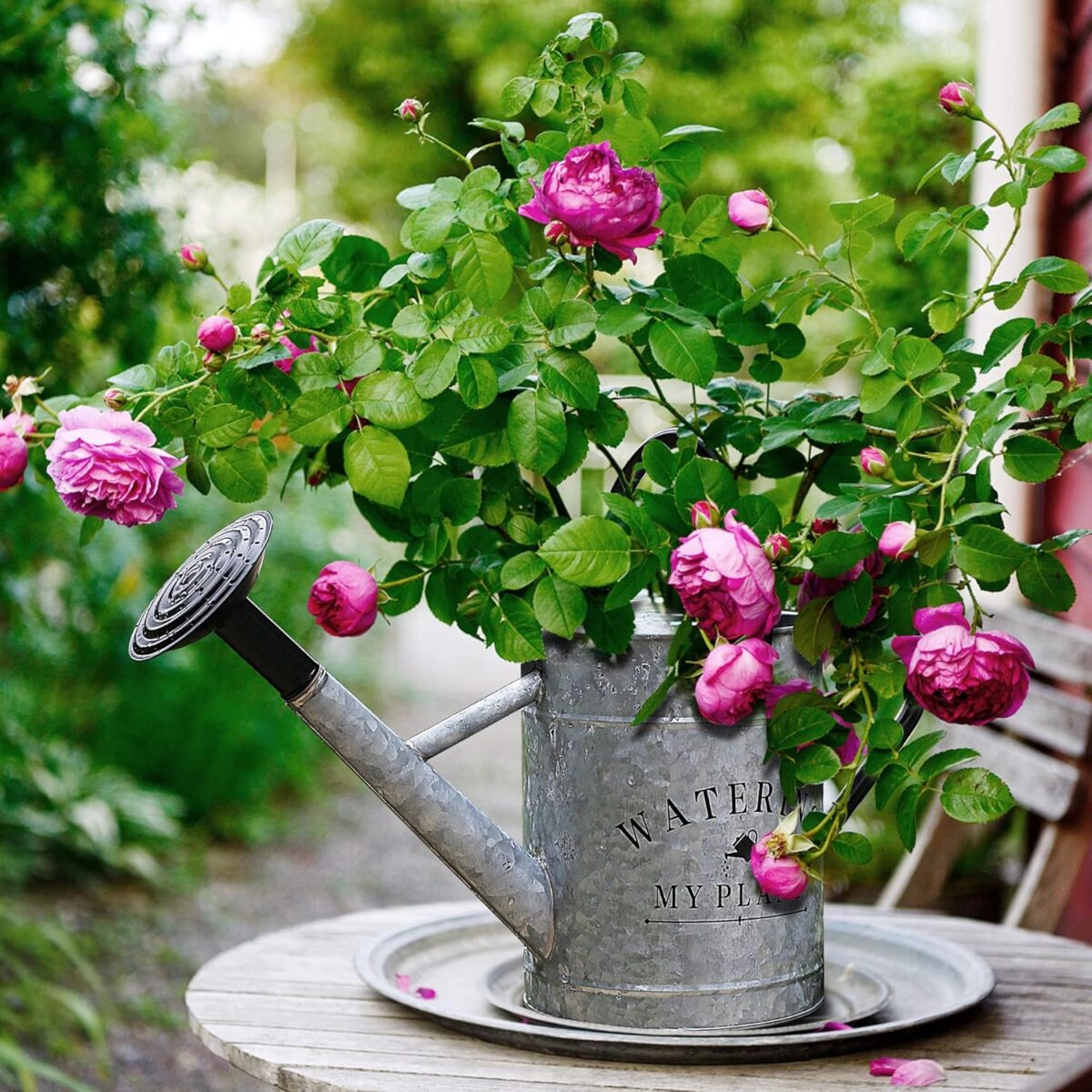 Galvanized Watering Can for Outdoor Indoor Plants, 1 Gallon Decorative Countryside Style Water Can with Removable Spout, Perfect Metal Watering Can for Indoor Plants and Garden Flower - Image 3