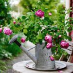 Galvanized Watering Can for Outdoor Indoor Plants, 1 Gallon Decorative Countryside Style Water Can with Removable Spout, Perfect Metal Watering Can for Indoor Plants and Garden Flower - Image 3