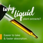 Herb Pharm St. John's Wort Liquid Extract for Positive Mood and Emotional Balance, Cane Alcohol, 4 Ounce - Image 4