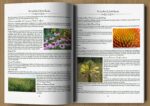 The Lost Book of Herbal Remedies - Image 3