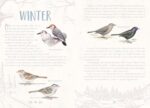 The Mindful Birder's Journal: Record Your Observations of the Winged World - Image 7