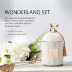 Scented Candles for Home Luxury Candle Gift Set - Candle Holder + 2 x 8.5oz Soy Candle Refills + Wick Trimmer - 115 Hour Burn - Birthday Gifts for Women - Centerpiece Decorations - 4 pcs - Image 5