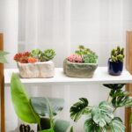 T4U 5.5 Inch Ceramic Succulent Pot Planter with Drainage Hole Set of 3, Stone Shape Rectangle Window Box Cactus Plant Containers Gift for Mom Sister Best for Home Office Table Desk Decoration - Image 5