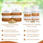 Real Mushrooms Cordyceps Capsules - Performance Mushroom Extract Supplement with Organic Militaris for Energy Immune Support Vegan Supplement, Non-GMO, 120 Caps - Image 6