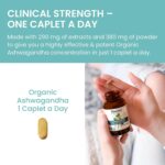 Himalaya Organic Ashwagandha, 60 Day Supply, Herbal Supplement for Stress Relief, Energy Support, Occasional Sleeplessness, Organic, Non-GMO, Vegan, Gluten Free, 670 mg, 60 Caplets - Image 7