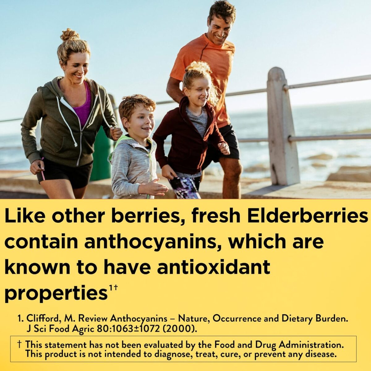 Nature Made Elderberry 400 mg Extract with Vitamin C and Zinc, Dietary Supplement for Immune Support, 60 Capsules, 60 Day Supply - Image 2