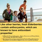 Nature Made Elderberry 400 mg Extract with Vitamin C and Zinc, Dietary Supplement for Immune Support, 60 Capsules, 60 Day Supply - Image 2