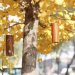 Chakra Chimes Natural Bamboo Wind Chimes Meditation Chord Windchime Wind Bell for Home Decoration Zen Mindfulness Heart Chakra - Image 5