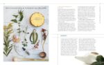 Body into Balance: An Herbal Guide to Holistic Self-Care - Image 7