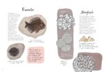Nature Anatomy: The Curious Parts and Pieces of the Natural World - Image 3
