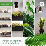 GE Grow Lights for Indoor Plants, BR30 Indoor Floodlight, LED Light Bulbs for Seeds and Greens with Balanced Spectrum, 25,000 Hours Lifespan, 16 PPF, 2 Pack (Packaging May Vary) - Image 6