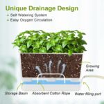 Herb Garden Planter Indoor Kit Self Watering Pots for Indoor/Outdoor Plants 2 Packs Windowsill Plant Pots with Drainage and Tray, Window Pot for Indoor Plants - Image 2