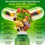 Echinacea Goldenseal Capsules - 10 in 1 Immune Support Supplement - 1455mg - Vegan Echinacea Capsules Supplement Made With Organic Whole Foods - Herbal Immune System Support - 2 Month Supply - Image 3