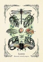 The Green Witch's Oracle Deck: Embrace the Wisdom and Insight of Natural Magic (Green Witch Witchcraft Series) - Image 10