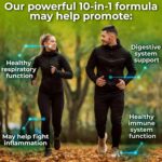 Echinacea Goldenseal Capsules - 10 in 1 Immune Support Supplement - 1455mg - Vegan Echinacea Capsules Supplement Made With Organic Whole Foods - Herbal Immune System Support - 2 Month Supply - Image 5