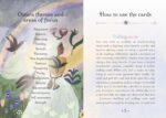Seasons of the Witch – Ostara Oracle - Image 11