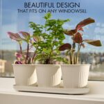 KIBAGA Beautiful Herb Garden Planter Indoor Set of 3 - Perfect for Any Kitchen Window Sill or Countertop - A Modern Decor Gardening Planter Kit Incl. Tray & Drainage Holes to Grow Fresh Herbs at Home - Image 3