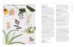 Body into Balance: An Herbal Guide to Holistic Self-Care - Image 5